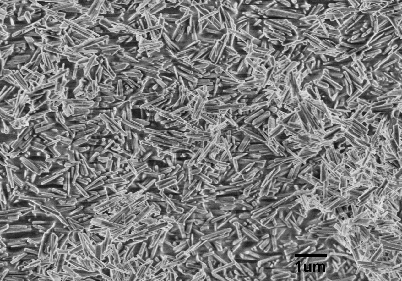 進口羥基磷灰石納米線Hydroxylapatite Nanowires A100