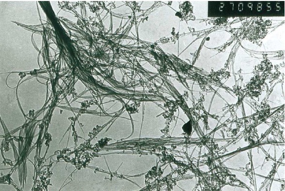 短低純單壁碳納米管JCST-60-2-2